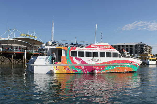 Whale Watch vessel the MV Amaroo
