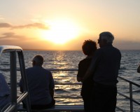 amaroo sunset cruise 2
