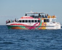 amaroo sunset cruise