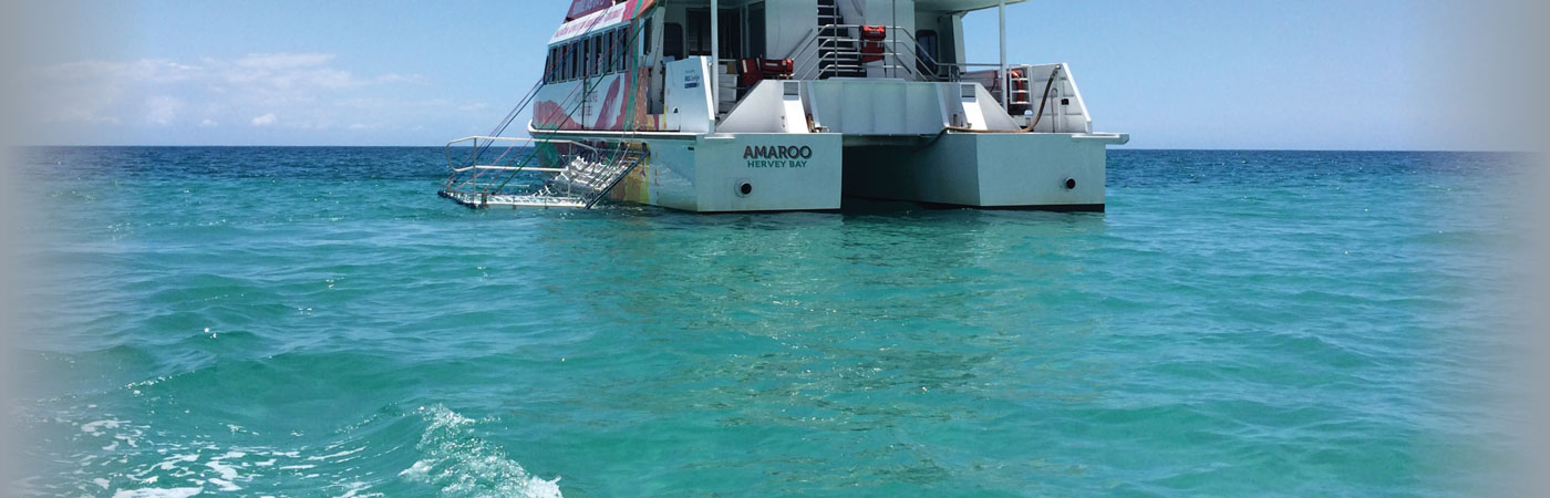 facebook summer cruises banner